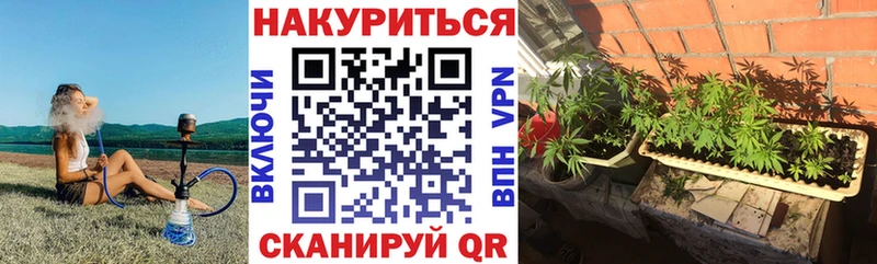 Бошки марихуана тримм  Приволжск 